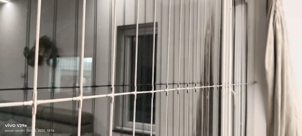 Window invisible grill in Chennai