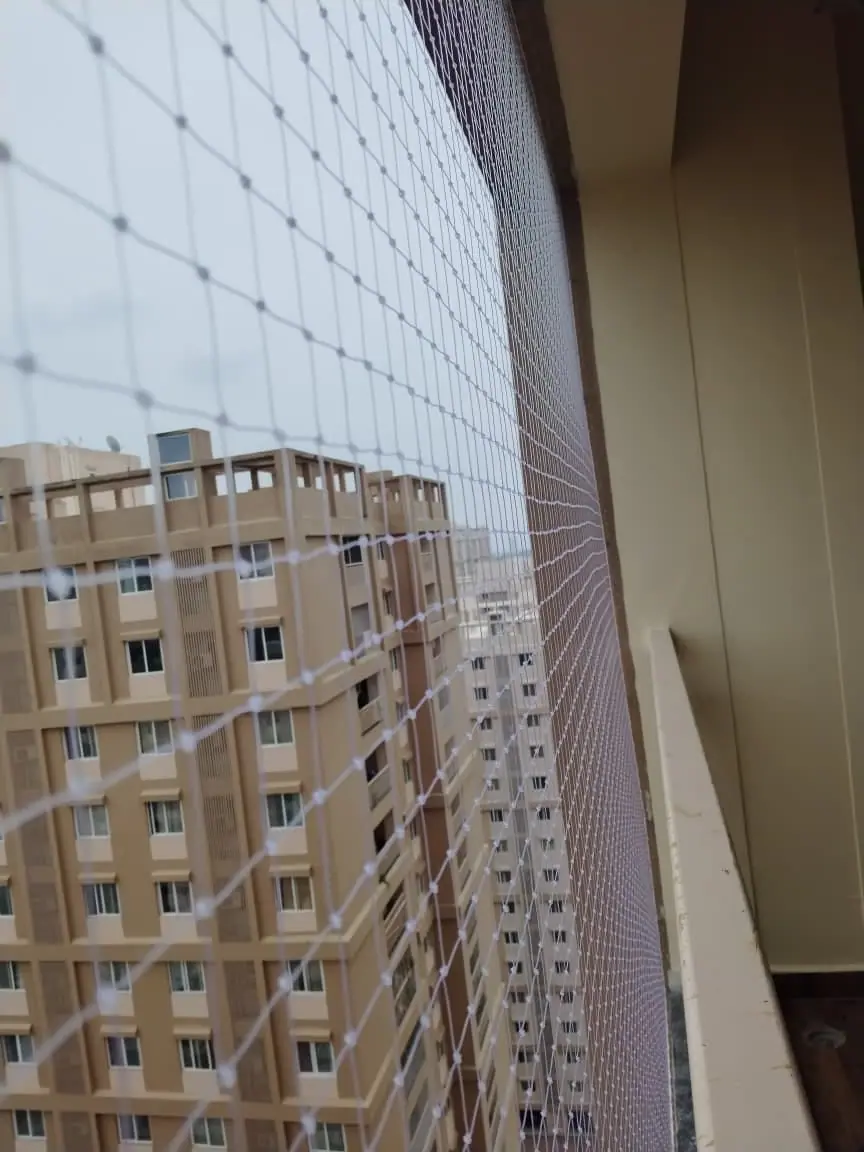 Window bird net in Chennai