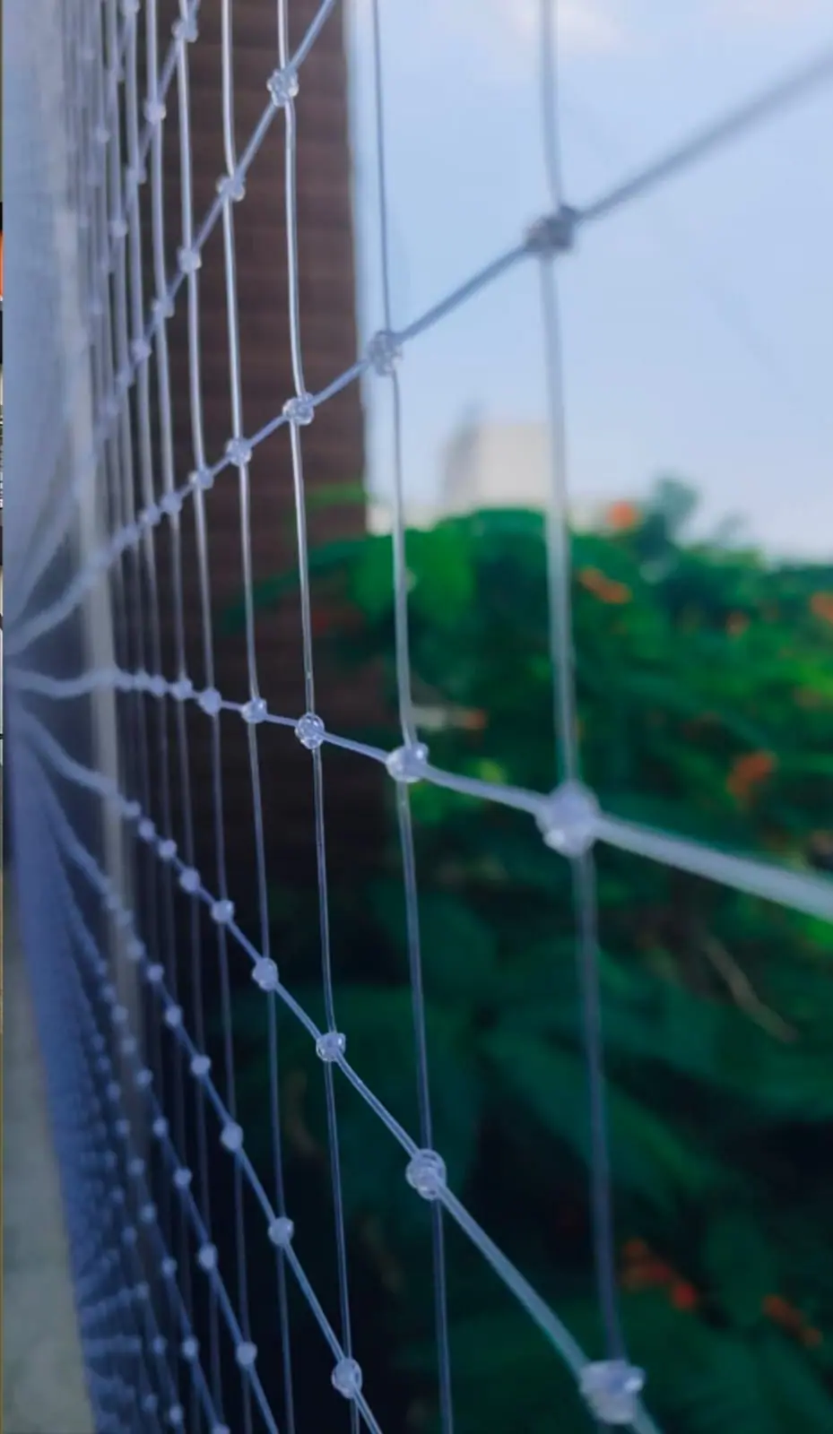 Pigeon net installation in Chennai