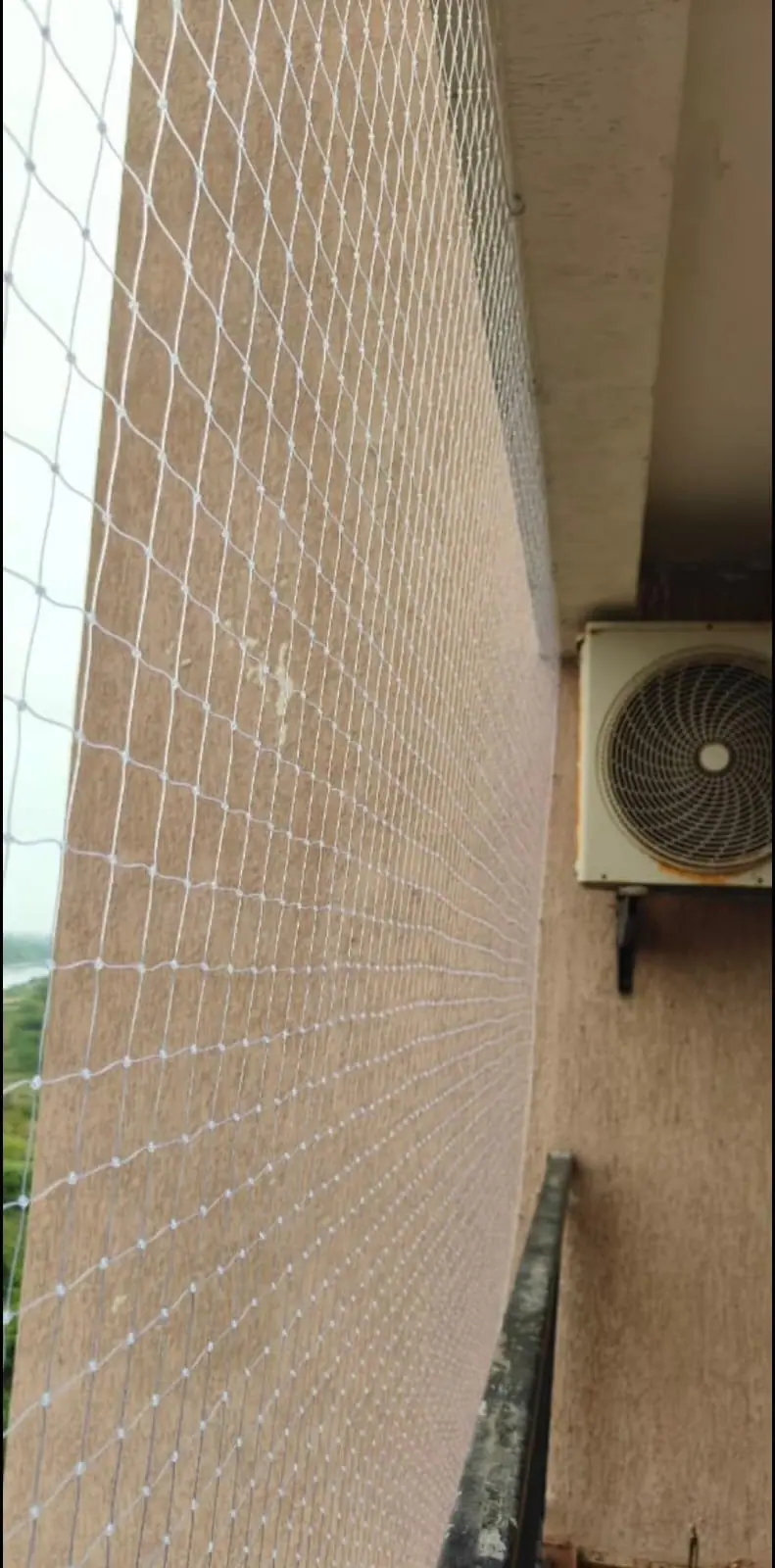 Pigeon net beside AC unit in Chennai