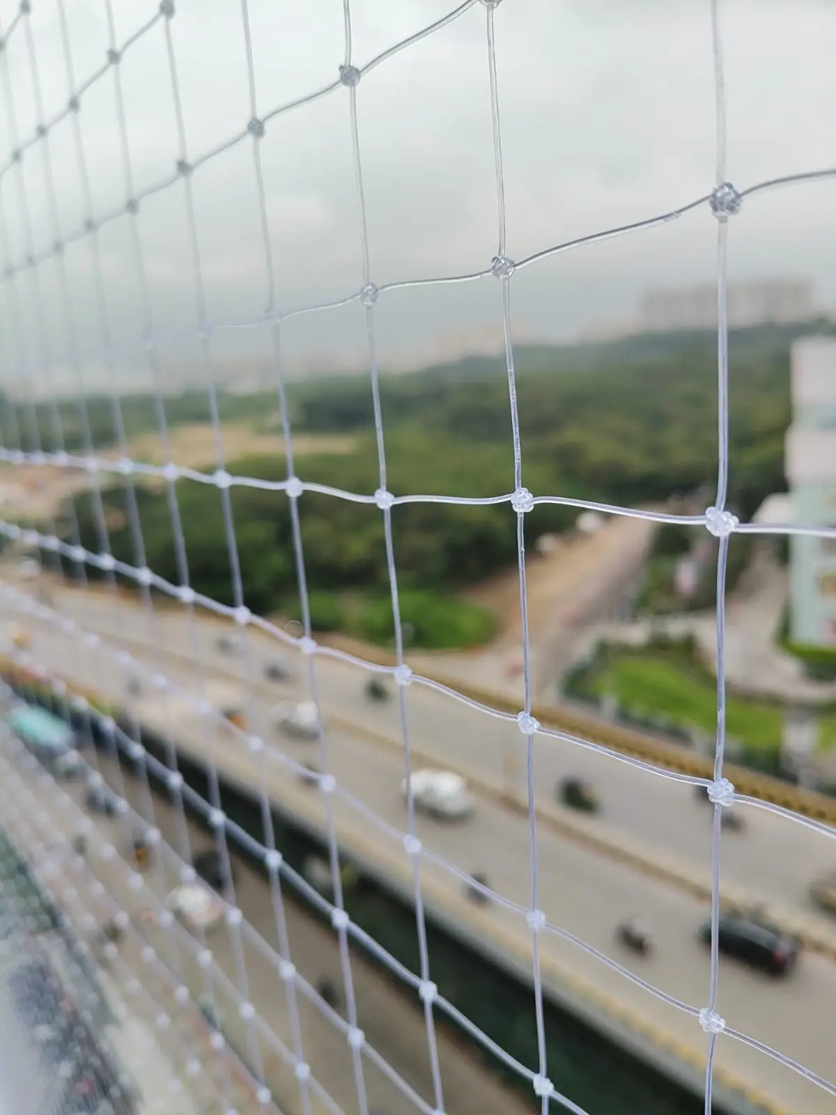 Pigeon net on high-rise balcony in Chennai