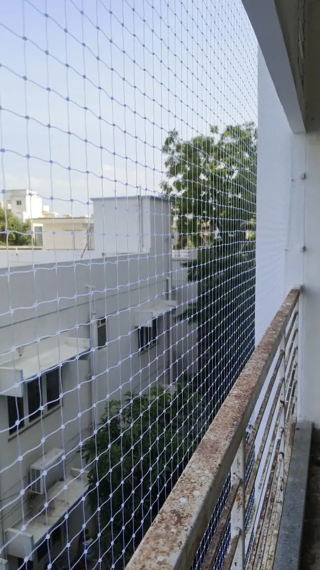 Pigeon net installation in Chennai