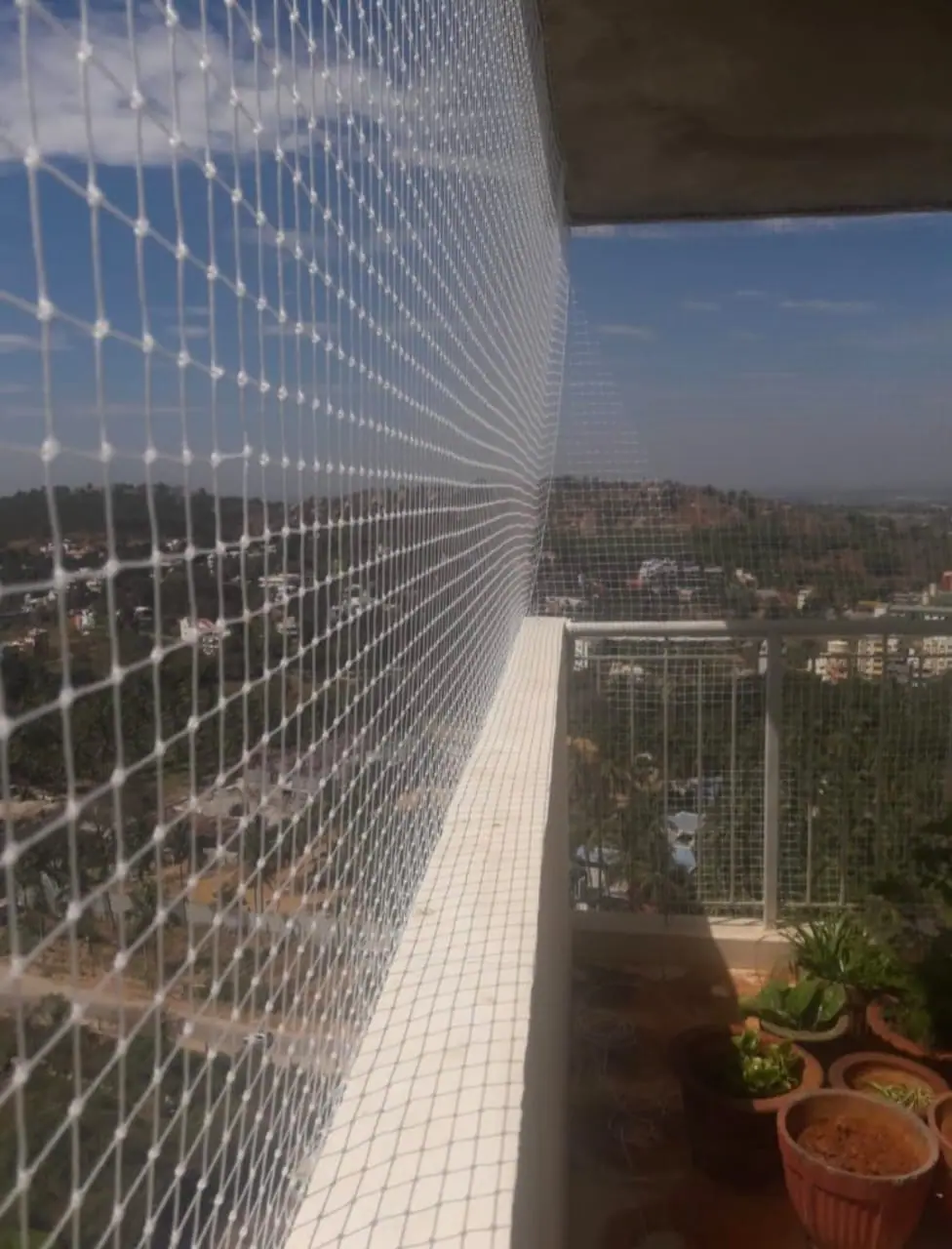 Pigeon net installation in Chennai