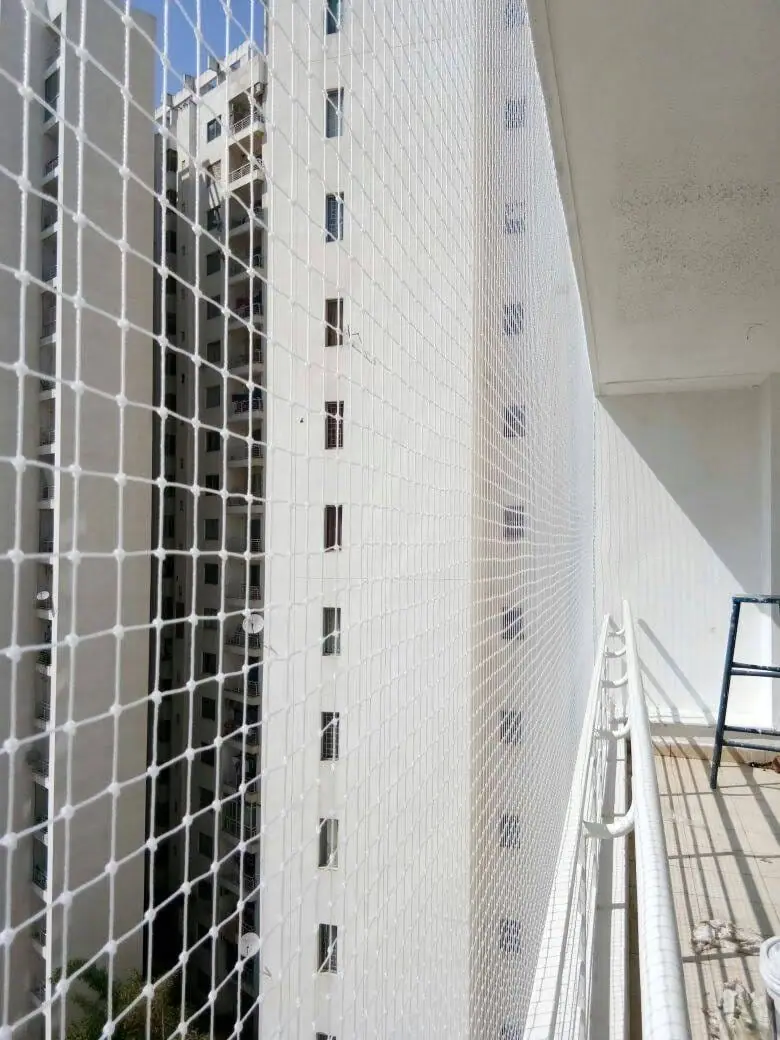 Pigeon net along building side in Chennai