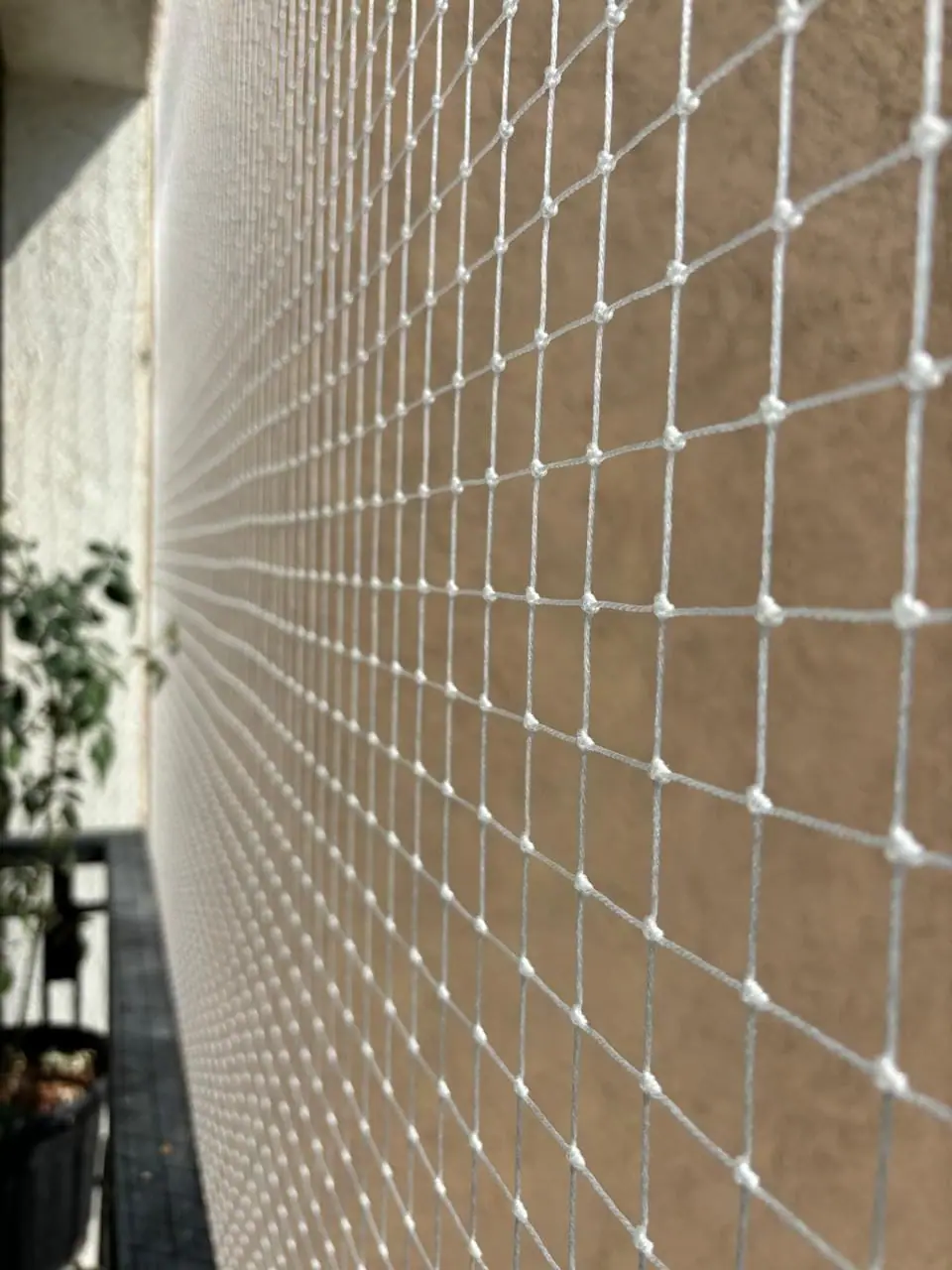 Pigeon net installation in Chennai