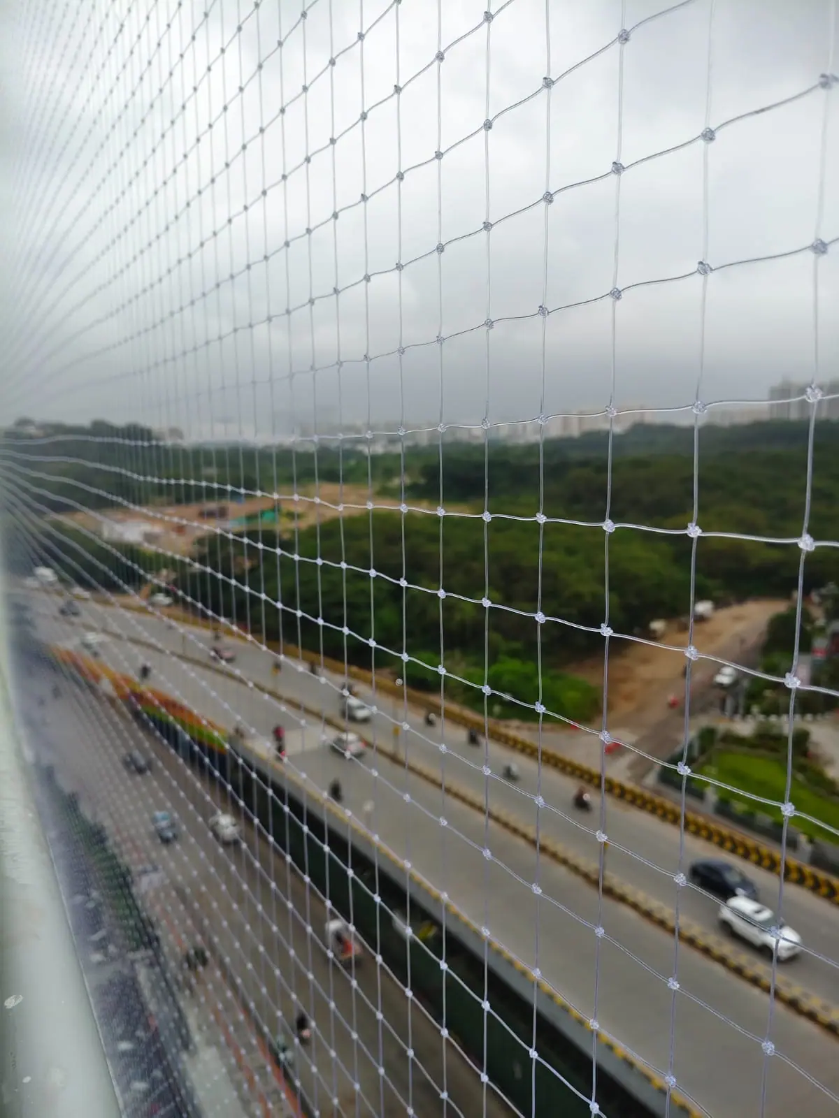 Pigeon net with city view in Chennai